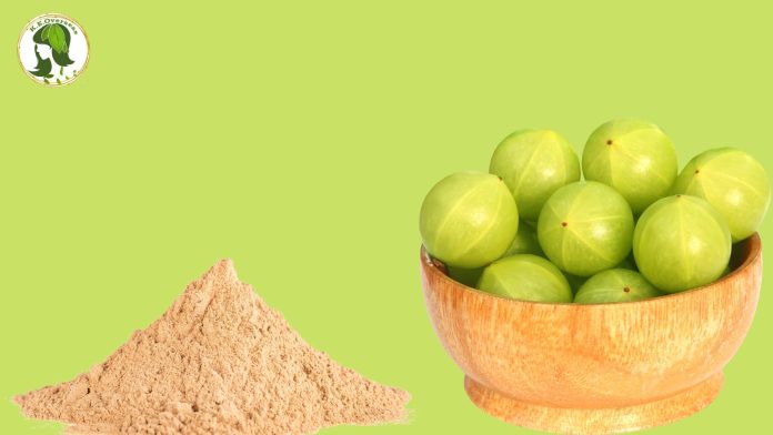 How To Use Amla Powder as A Natural Hair Scrub for Dandruff Removal?