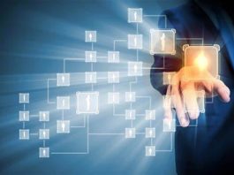 portfolio management services
