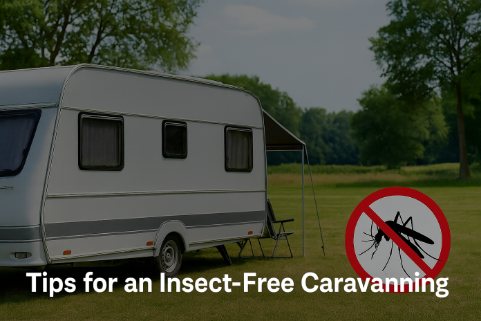 Tips for an Insect-Free Caravanning Holiday